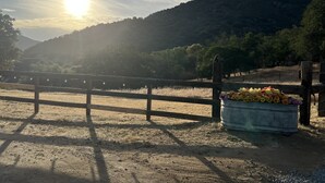 A wooden fence with a flower pot on the right side.