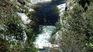 A stone bridge over a river with rocky banks and dense greenery.