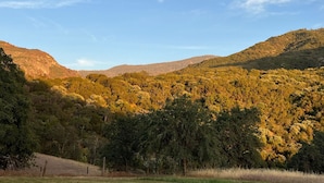 A mountainous landscape with dense forest and a clear sky.