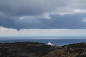 بالقرب من الشاطئ