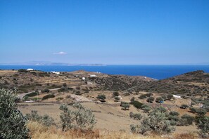 بالقرب من الشاطئ