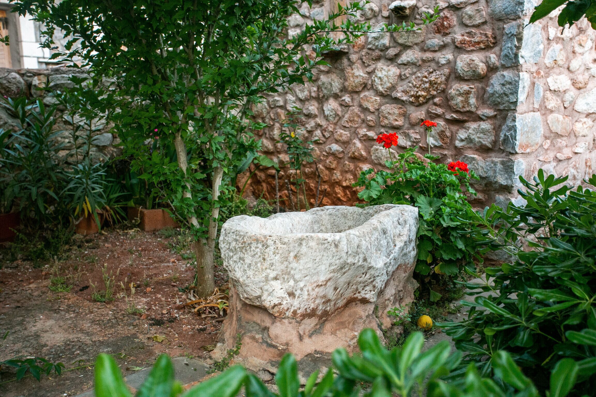 Jardines del alojamiento