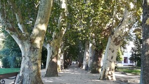 المنطقة المحيطة بالمنشأة