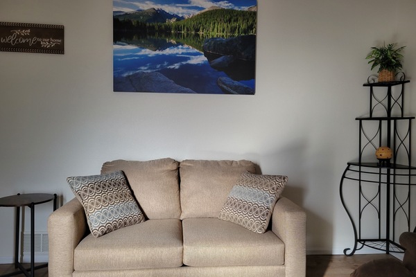 Twin sleeper sofa in the front room