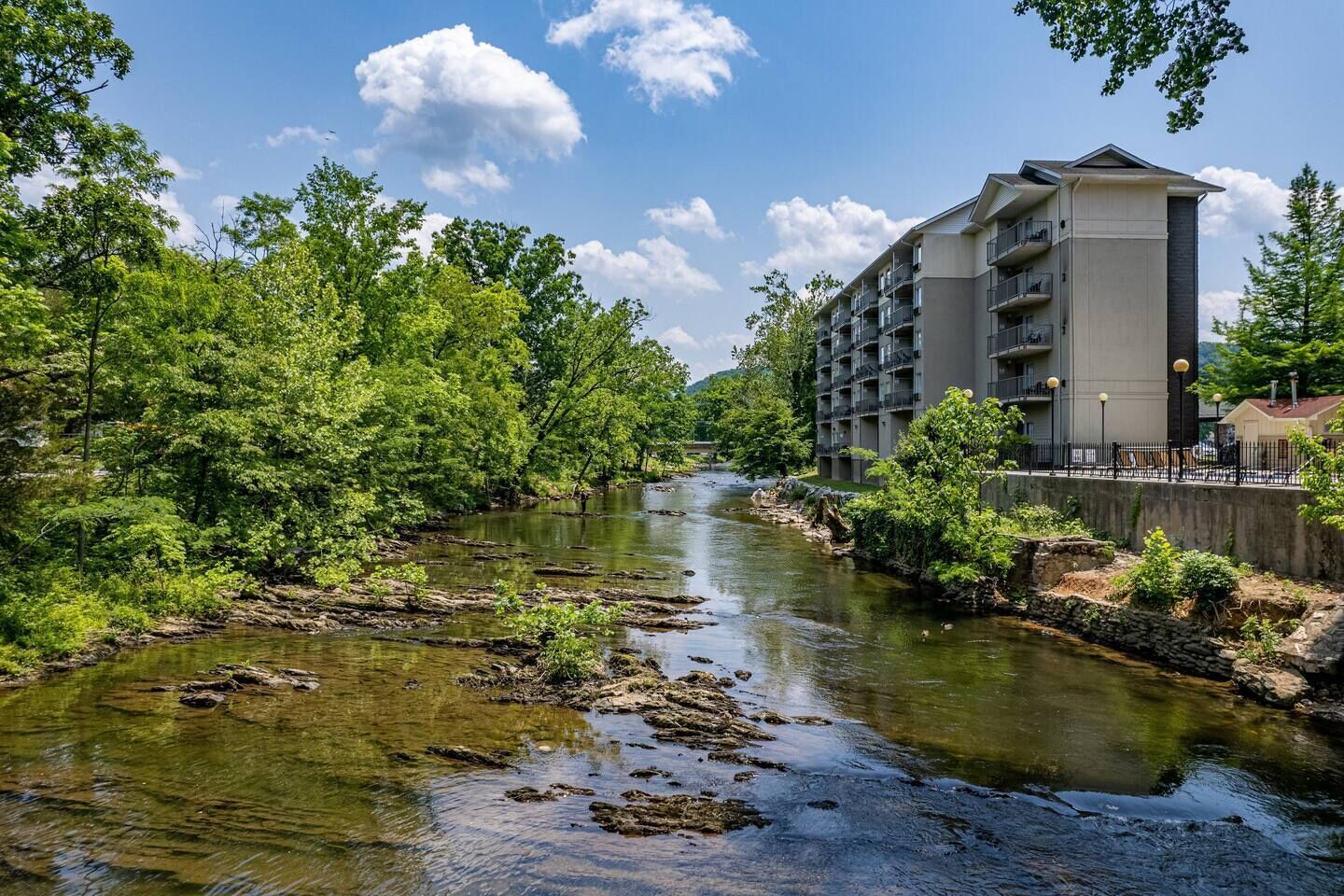 A river flowing through a park with a modern building on the right.