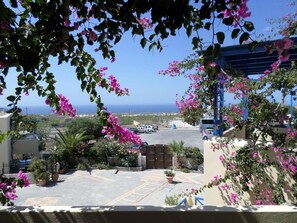 Apartment | Property grounds