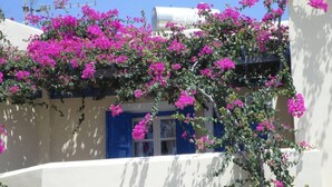 Rakennuksessa on valkoiset seinät ja sininen ovi, ja sitä ympäröi runsain mitoin kukkiva vaaleanpunainen bougainvillea.