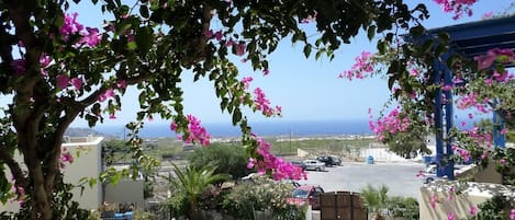 Departamento | Áreas de la propiedad