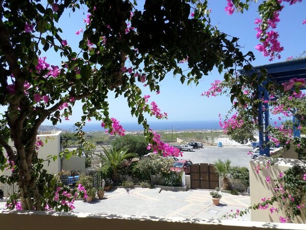 Apartment | Property grounds