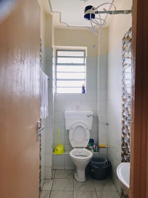 Appartement | Salle de bain | Douche, serviettes fournies