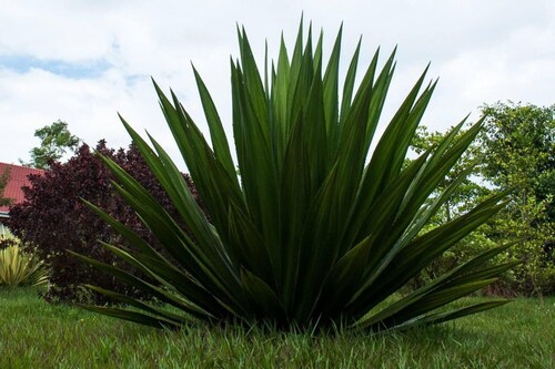 Remarkable 2-bed Cottage Along Gayaza Road