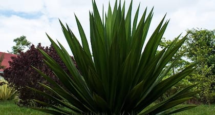 Remarkable 2-bed Cottage Along Gayaza Road