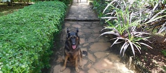 Remarkable 2-bed Cottage Along Gayaza Road