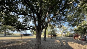 Property grounds - Redbud Falls Ranch | Peaceful Horse Ranch Retreat & Private Horse Experiences (Gainesville)
