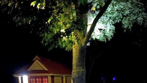 Property grounds - Redbud Falls Ranch | Peaceful Horse Ranch Retreat & Private Horse Experiences (Gainesville)