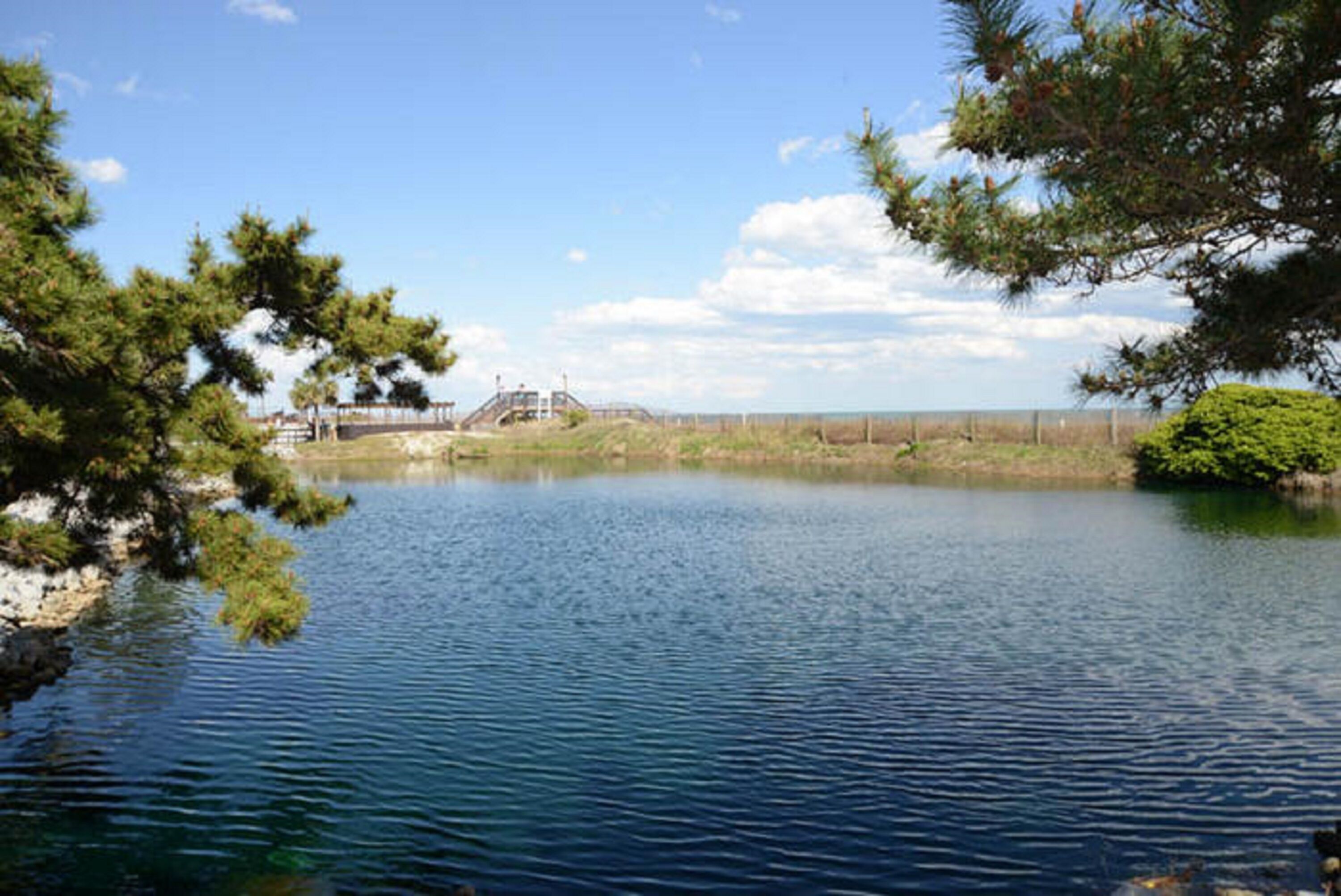 Foto - Sunrise at Renaissance