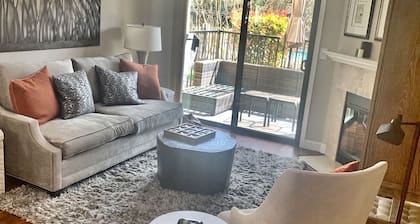 Adorable 2 bedroom/2 bathroom apartment for rent - 1 month min stay