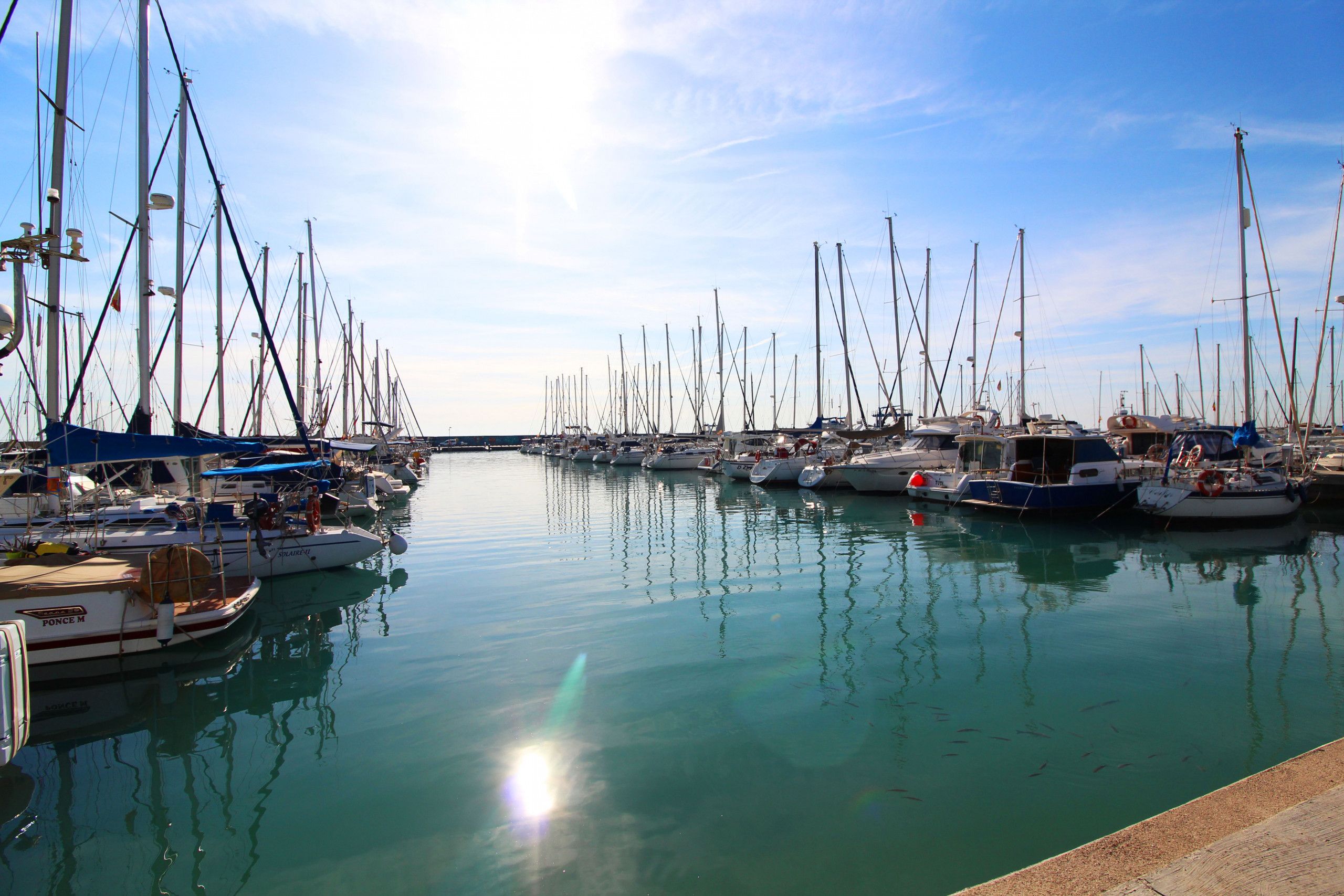 Una marina con numerosos barcos amarrados en aguas tranquilas.