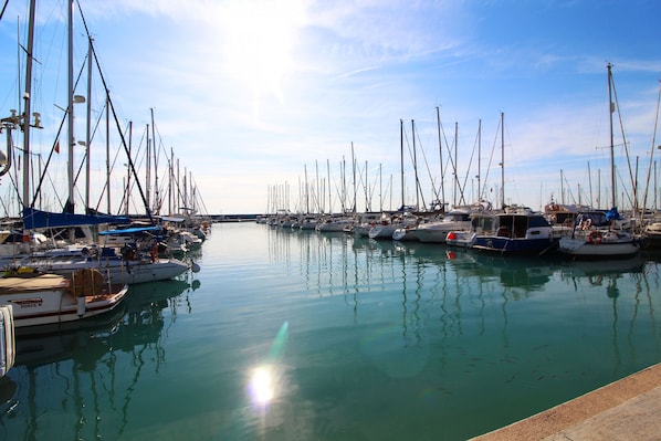 A marina with numerous boats docked in calm waters.