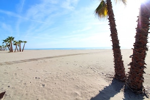 A sandy beach with palm trees and a clear sky.