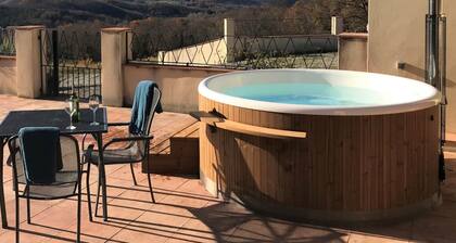 Lo Boix: Le Mas - 5 bed luxury gite with pool