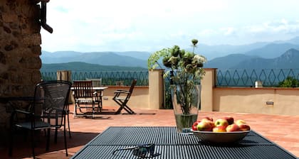 Lo Boix: Le Mas and Le Canigou - 7 bed Farmhouse with pool