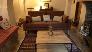 Télévision, cheminée, lecteur de DVD, table de tennis de table