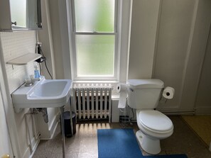 Bathroom - 1 bedroom apartment downtown (Ithaca)
