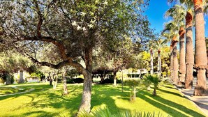 A park with a large tree, palm trees, and well-maintained grass. - Maite Apartment in Moraira – Seafront holiday apartment for 4 guests with air conditioning and Wi-Fi (Moraira)