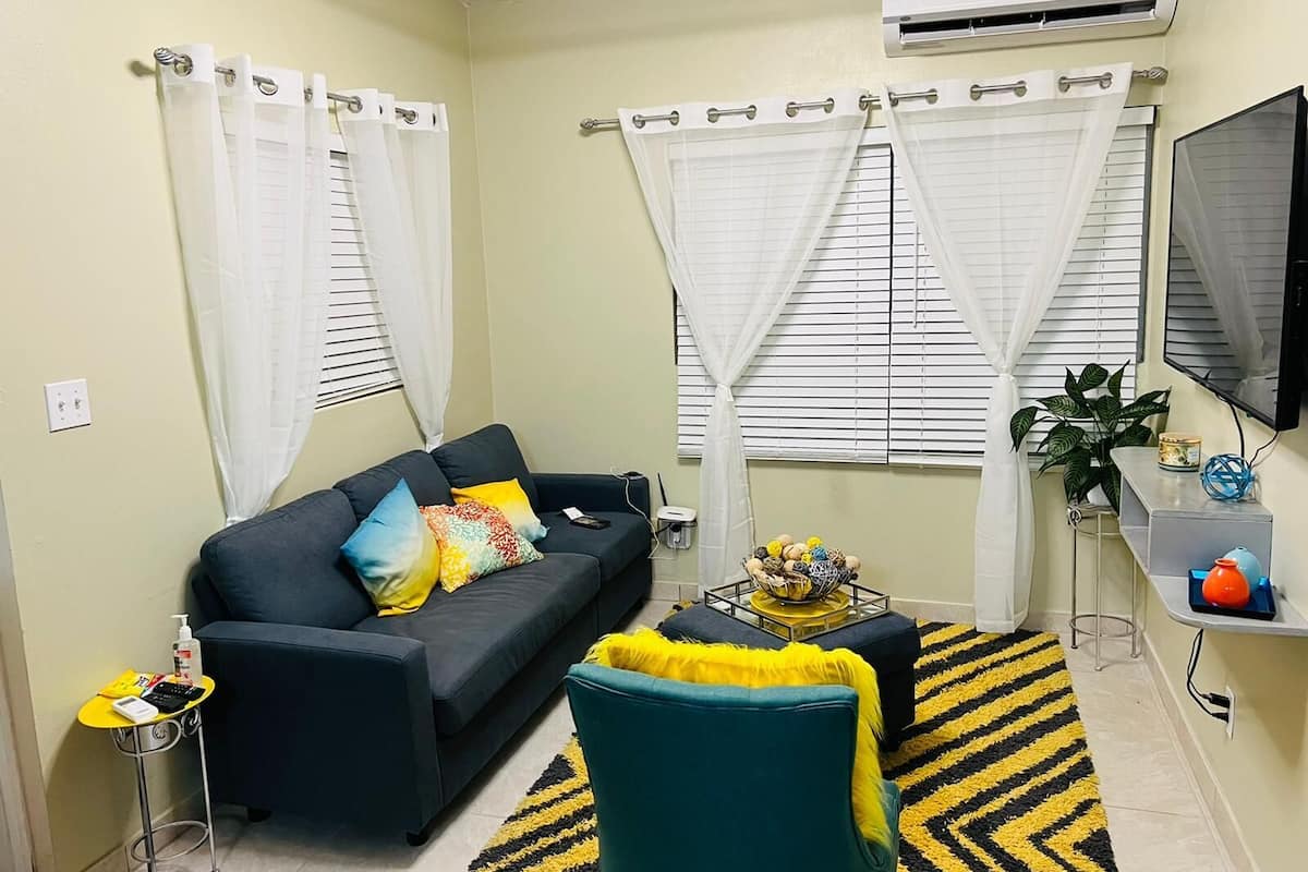 A living room with a dark sofa, colorful cushions, a small coffee table, a yellow and black rug, a potted plant, and a mounted TV.