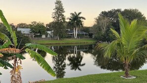 Eine friedliche Seelandschaft mit einer Rasenfläche, einer Palme und einem Haus im Hintergrund.
