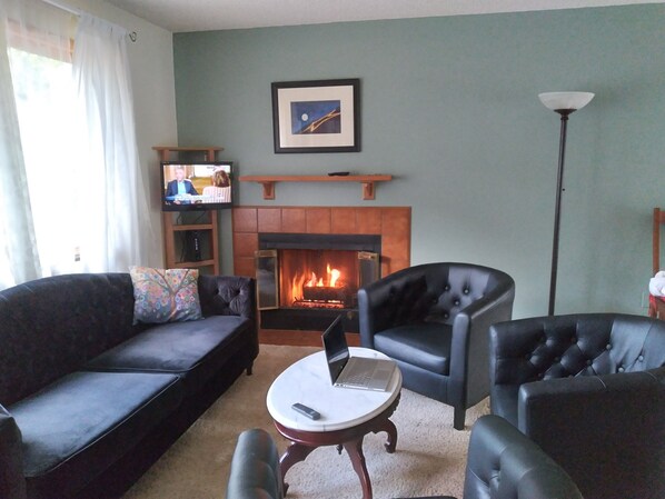 Smart TV, fireplace, books