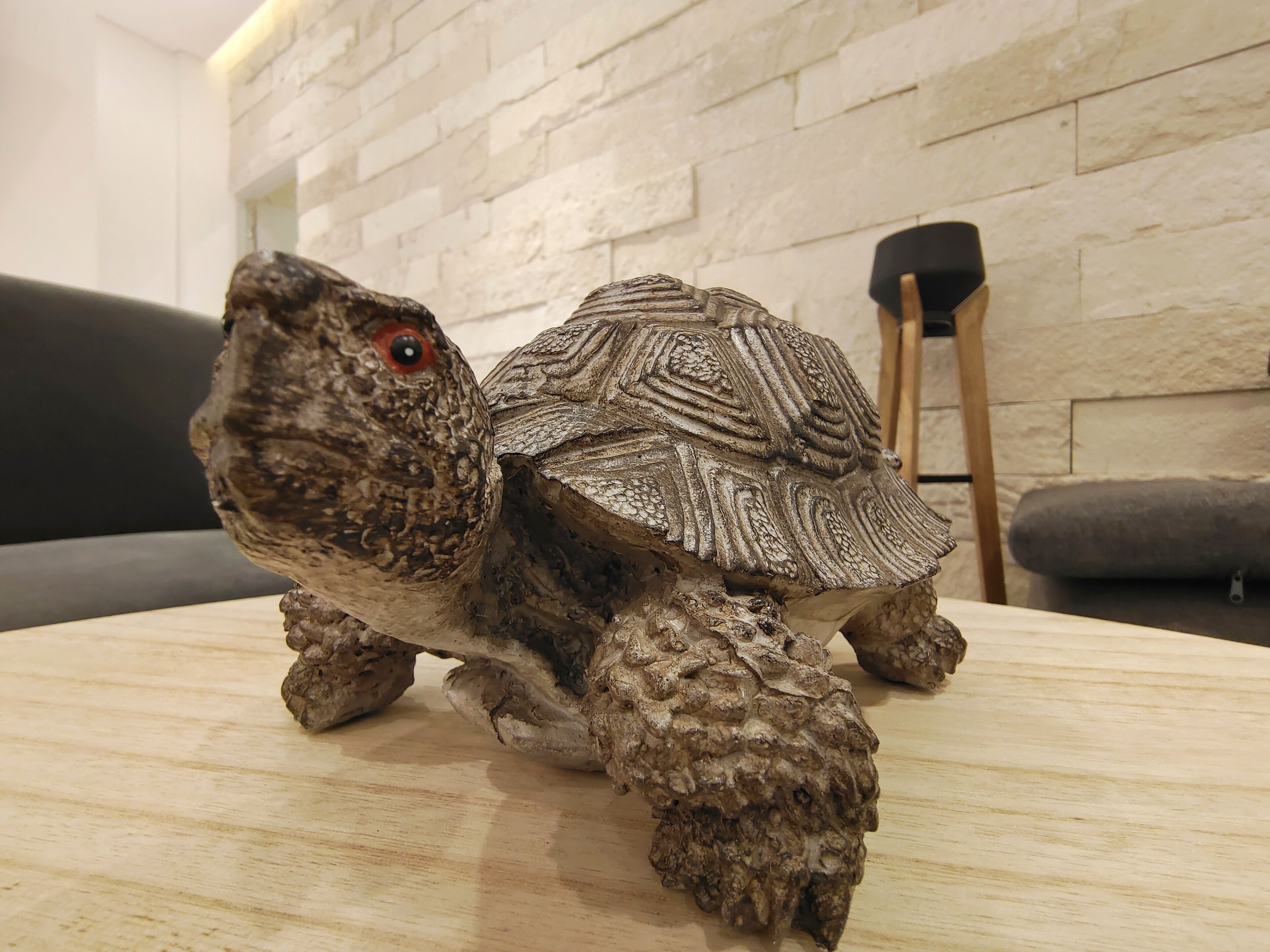 Eine Schildkröte auf einem Holztisch in einem Raum mit weißer Ziegelwand und grauem Sofa.