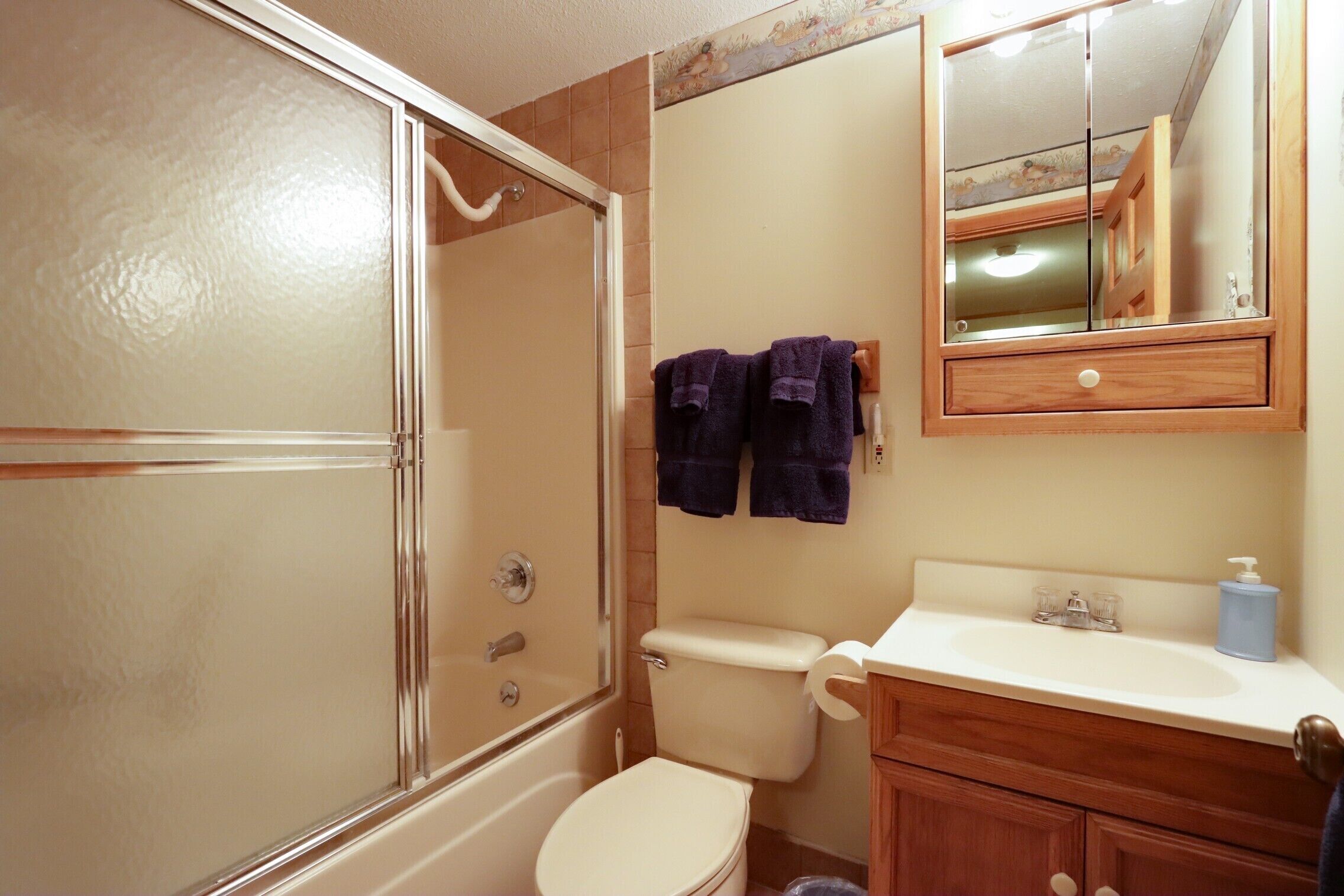 A bathroom with a shower, toilet, sink, and a mirror above the sink.