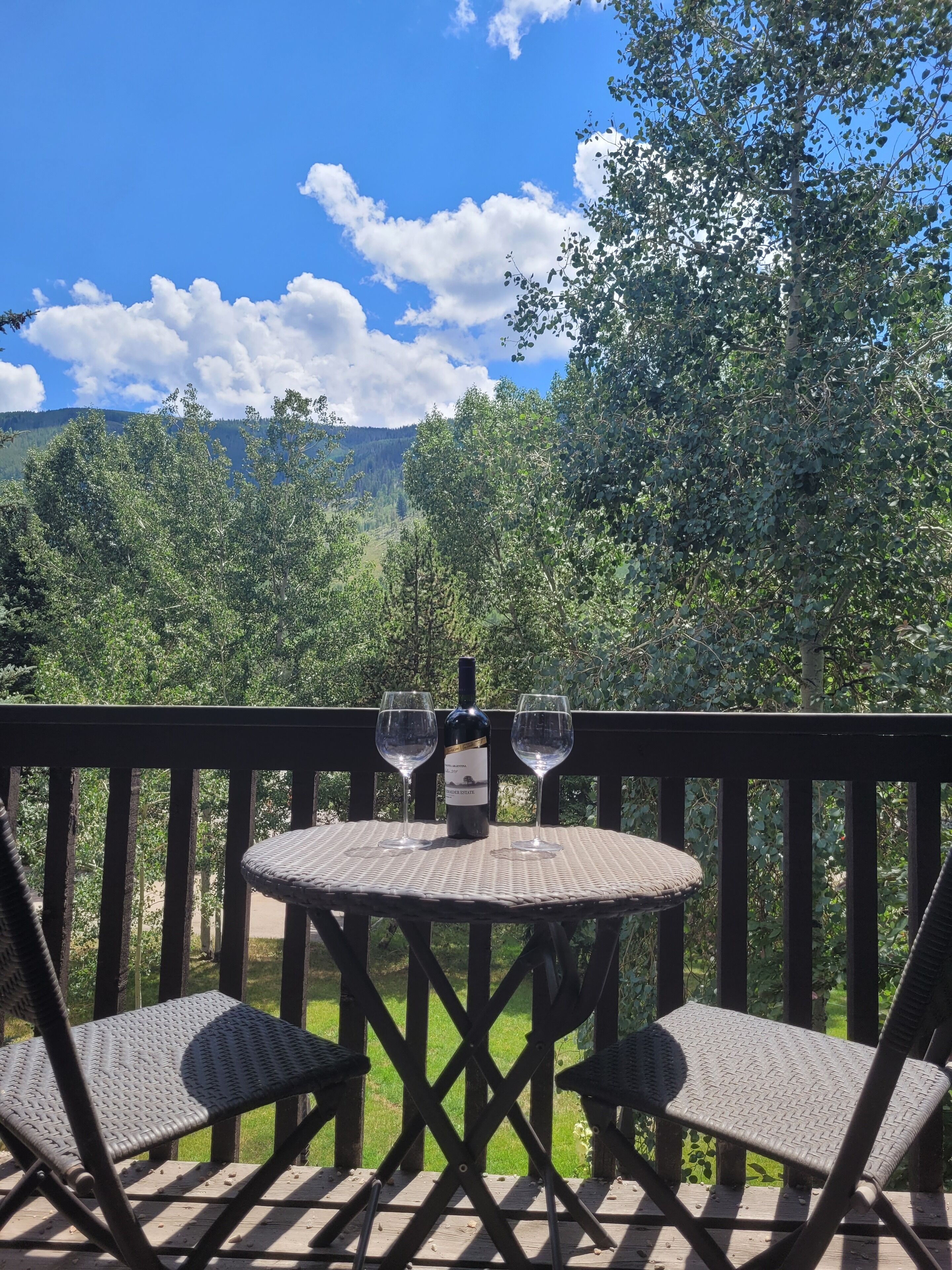 Perfect Condo to enjoy Vail Valley Steps from Town Bus, Shopping and Restaurants