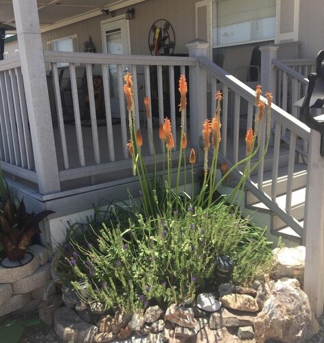 Cozy Lake House - only 10 minutes from the water