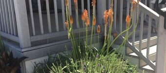 Cozy Lake House - only 10 minutes from the water