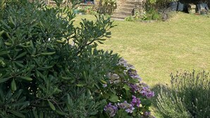 Una casa de piedra con techo inclinado, dos tragaluces y un pequeño jardín con diversas plantas y flores.