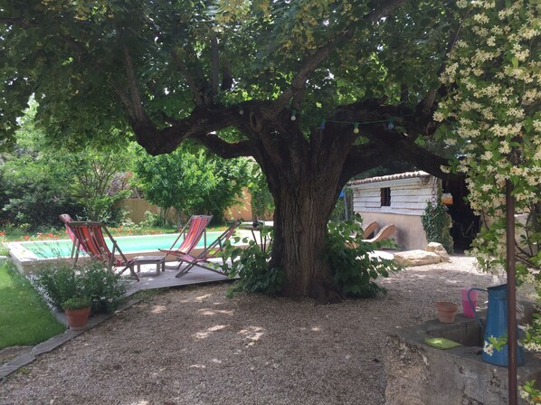 Terrain de l’hébergement 