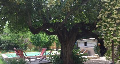 Mas provençal avec piscine à 10 min d'un parc d'attraction