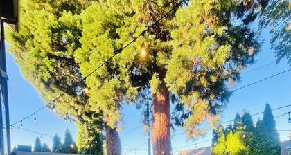 10 mins U of O, Autzen, airport HOT TUB, park, Quiet location!