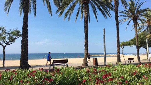 A beach with palm trees, a bench, and a person walking. - Nuevo, con Grande Terraza, a 200 m de la Playa y 500m del Puerto y Centro (Cambrils)