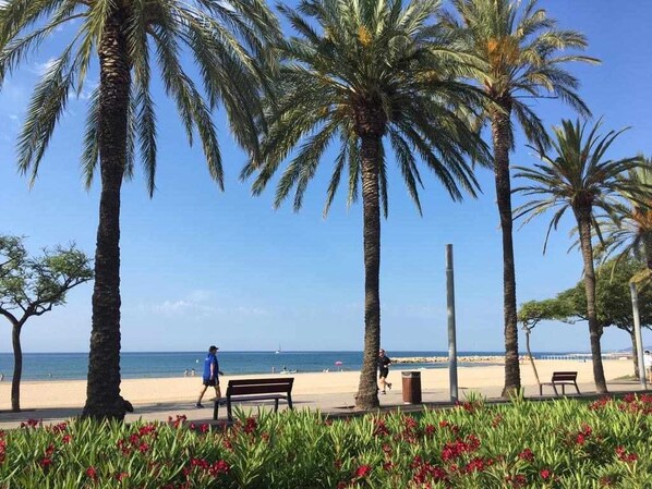 NĂ€ra stranden