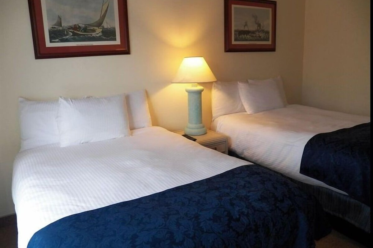 Two single beds with white bedding and a blue accent bedspread, a bedside lamp, and two framed pictures on the wall.