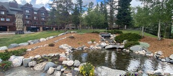 Cozy 2 BR Mountain View -walk to lift