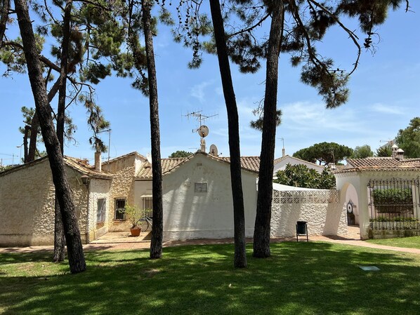 Surrounded by lush greenery and tall pine trees, this traditional building offers a serene courtyard with an entrance.