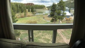A view from a window with a metal railing, overlooking a grassy area with a lake, trees, and a distant building.