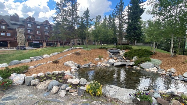 A landscaped garden with a pond, surrounded by rocks and plants, and a building in the background.