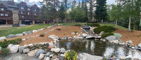 Àrea exterior de l'allotjament