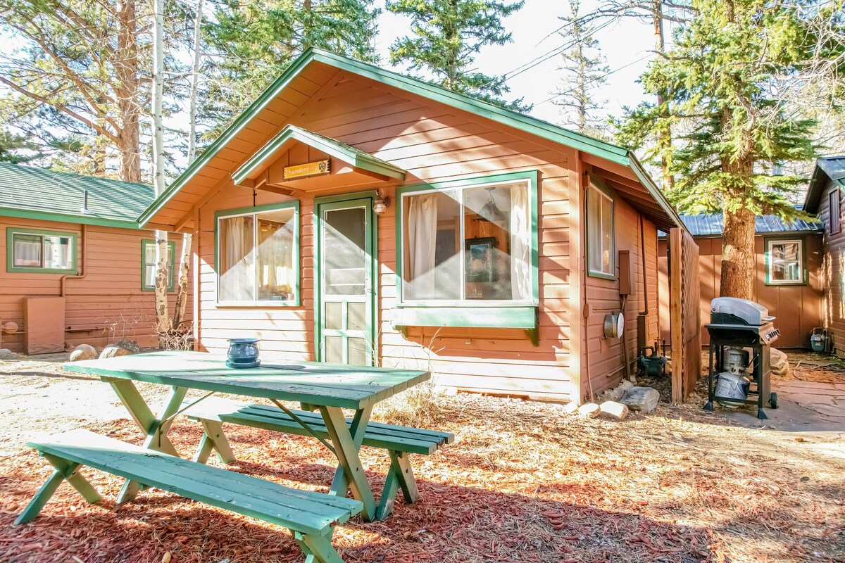 Imagen de perfil del propietario o de la propietaria